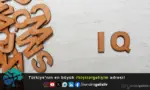 IQ Testi hesaplama