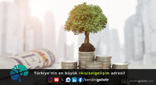 Yatırım Fonları ve Para Piyasası Fonları