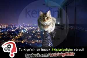 apartman yoneticisine ders