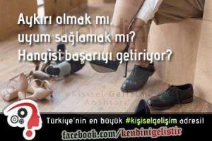 aykiri olmak ve uyum saglamak