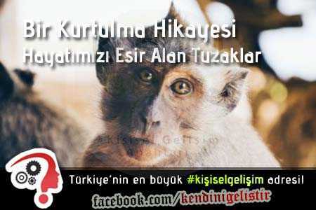 bir kurtulma hikayesi