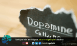 Dopamin Detoksu ve Odaklanma İlişkisi