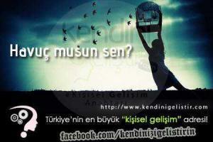 havuc musun sen