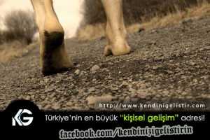 hic-denememekten-iyidir